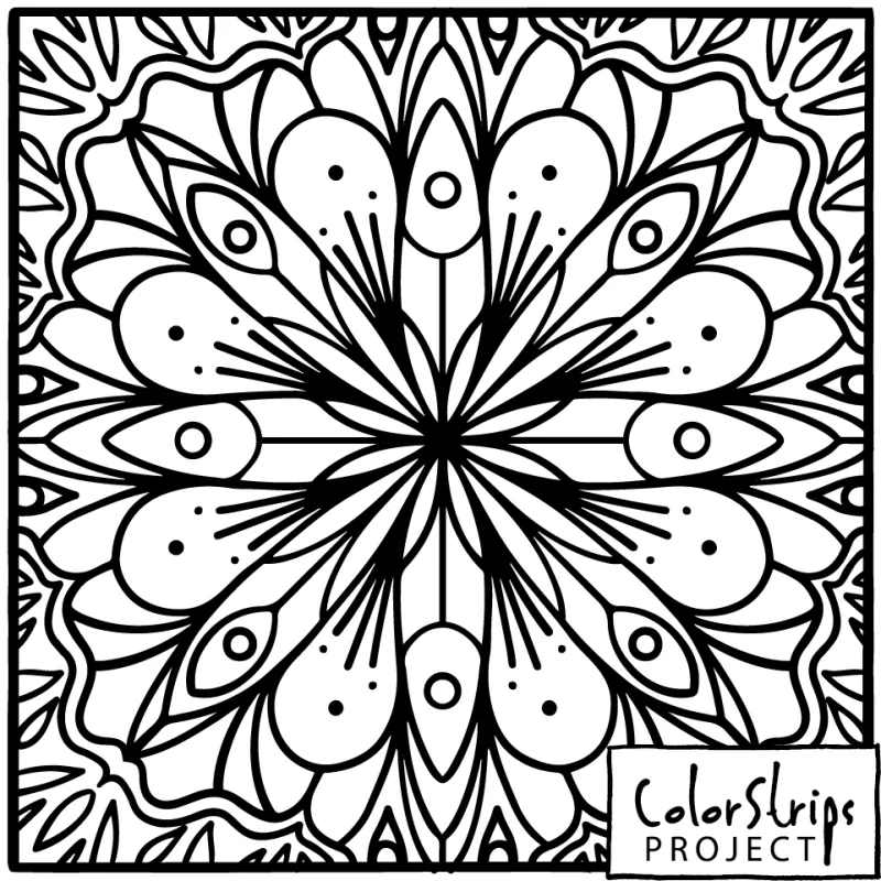 A radiating mandala of teardrop petals with dotted centers.